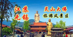 黄色日美女B江苏无锡灵山大佛旅游风景区