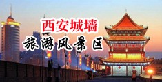 免费操屄影视中国陕西-西安城墙旅游风景区